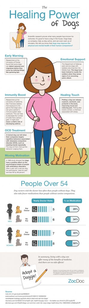 healing power of dogs