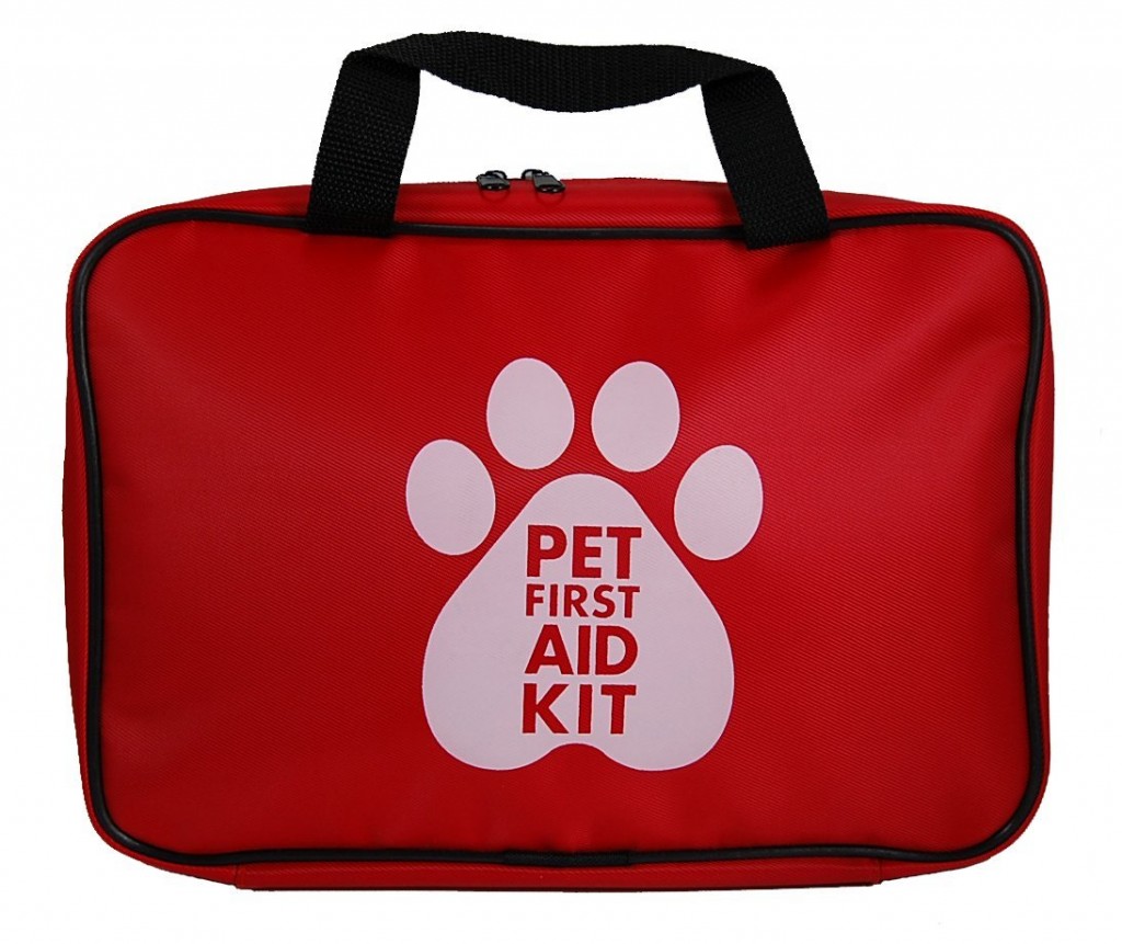 Dog First Aid Kit | the Daily Boxer