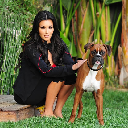 https://dailyboxer.com/wp-content/uploads/2013/10/kim-kardashian-and-boxer-gallery.jpg